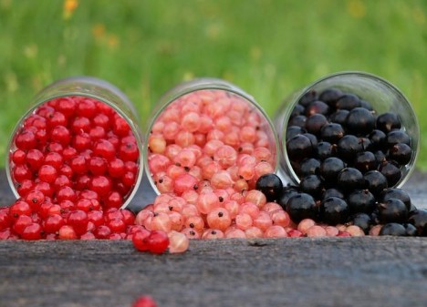Legjobb bogyók a zsírégetésre, A 4 legjobb fogyasztó hatású bogyós gyümölcs