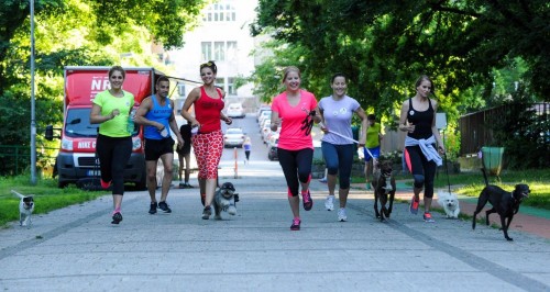 a gyors séta egyenlő a futással a szív egészségéért)